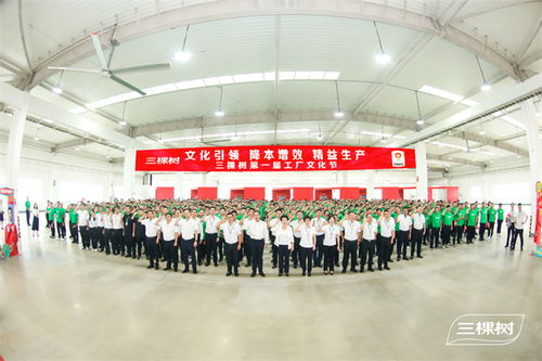 凝心聚力共筑文化生產力 | 三棵樹第一屆工廠文化節啟動儀式圓滿舉行